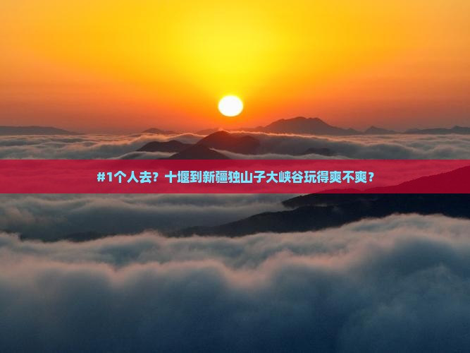 #1个人去？十堰到新疆独山子大峡谷玩得爽不爽？