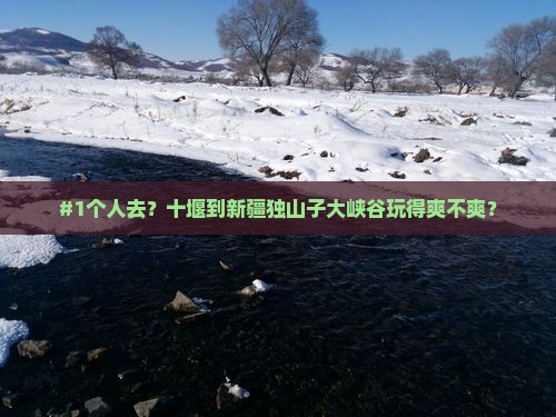 #1个人去？十堰到新疆独山子大峡谷玩得爽不爽？