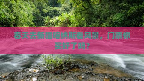 春天去新疆喀纳斯看风景，门票你买好了吗？