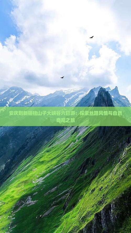 安庆到新疆独山子大峡谷六日游：探索丝路风情与自然奇观之旅