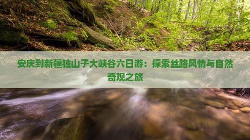 安庆到新疆独山子大峡谷六日游：探索丝路风情与自然奇观之旅