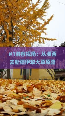 #1游客视角：从湘西去新疆伊犁大草原路途远吗？心里忐忑怎么办？