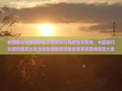 新疆旅行社定制伊犁大草原旅行线路包车服务，中国旅行社提供临夏出发当地新疆旅游攻略去看草原路线信息大全