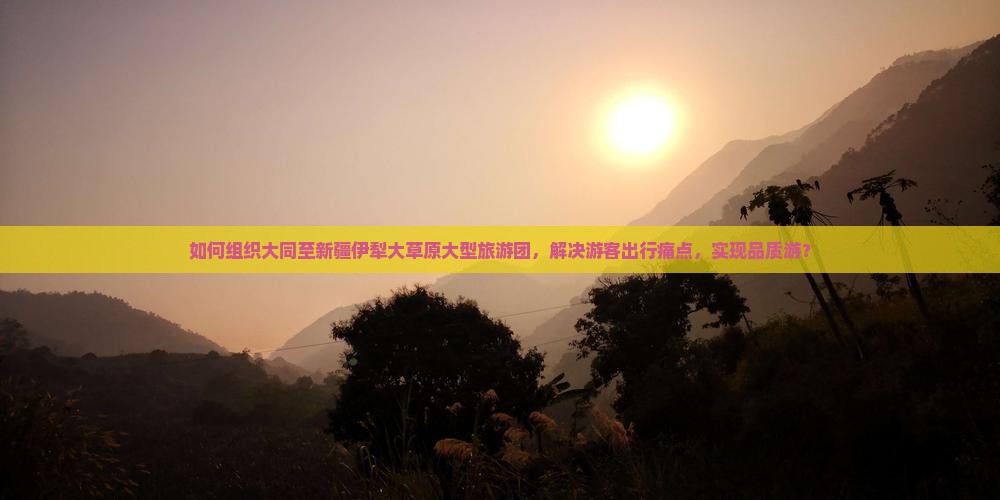 如何组织大同至新疆伊犁大草原大型旅游团，解决游客出行痛点，实现品质游？