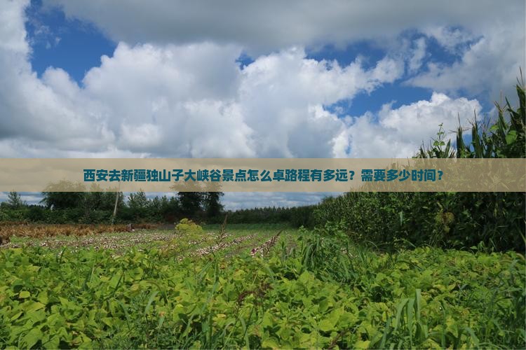 西安去新疆独山子大峡谷景点怎么卓路程有多远？需要多少时间？