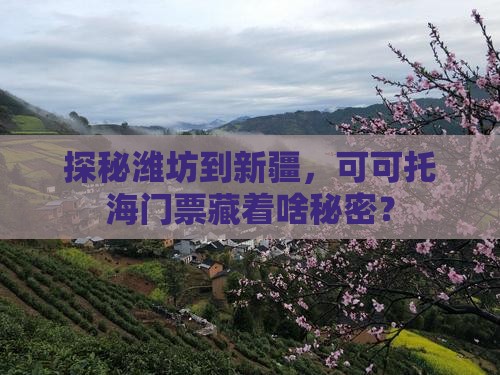 探秘潍坊到新疆，可可托海门票藏着啥秘密？