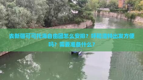 去新疆可可托海自由团怎么安排？呼和浩特出发方便吗？需要准备什么？