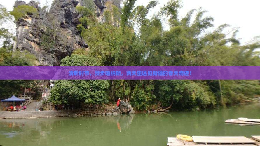 清明时节，漫步喀纳斯，两天里遇见新疆的春天奇迹！