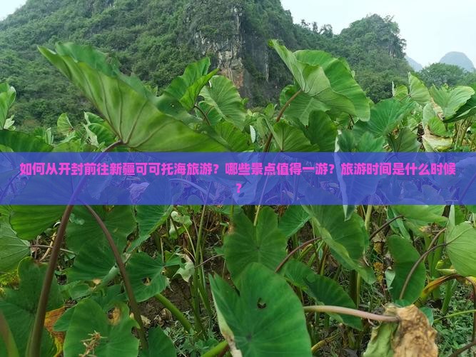 如何从开封前往新疆可可托海旅游？哪些景点值得一游？旅游时间是什么时候？