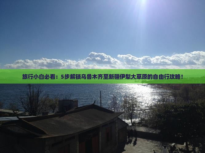 旅行小白必看：5步解锁乌鲁木齐至新疆伊犁大草原的自由行攻略！