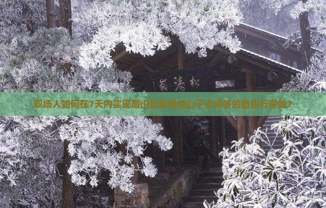 职场人如何在7天内实现眉山到新疆独山子大峡谷的自由行探险？