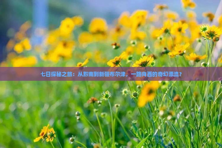 七日探秘之旅：从黔南到新疆布尔津，一路向西的奇幻漂流？