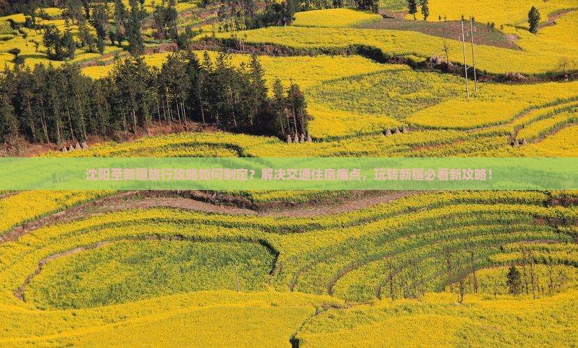 沈阳至新疆旅行攻略如何制定？解决交通住宿痛点，玩转新疆必看新攻略！