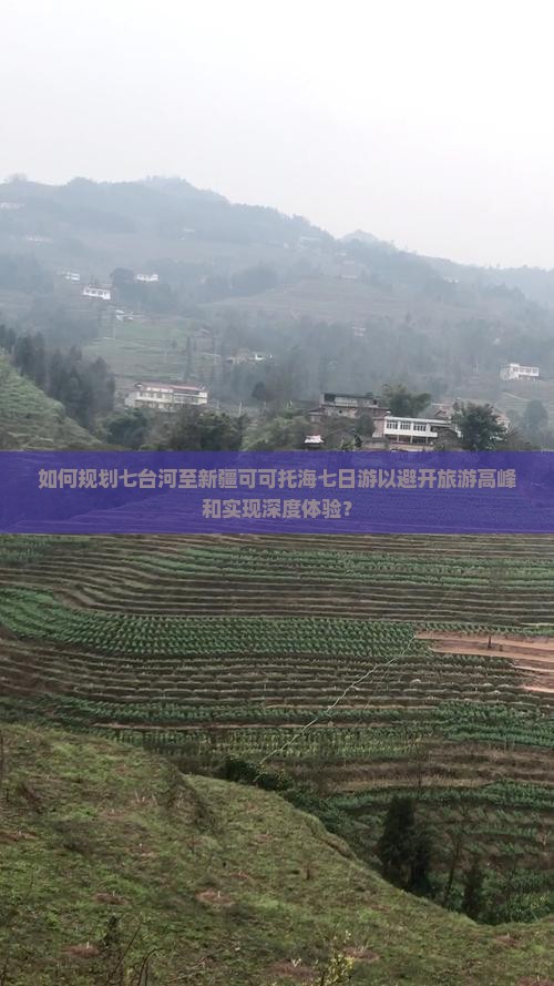 如何规划七台河至新疆可可托海七日游以避开旅游高峰和实现深度体验？