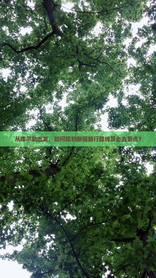 从库尔勒出发，如何规划新疆旅行路线及必去景点？