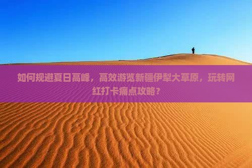 如何规避夏日高峰，高效游览新疆伊犁大草原，玩转网红打卡痛点攻略？