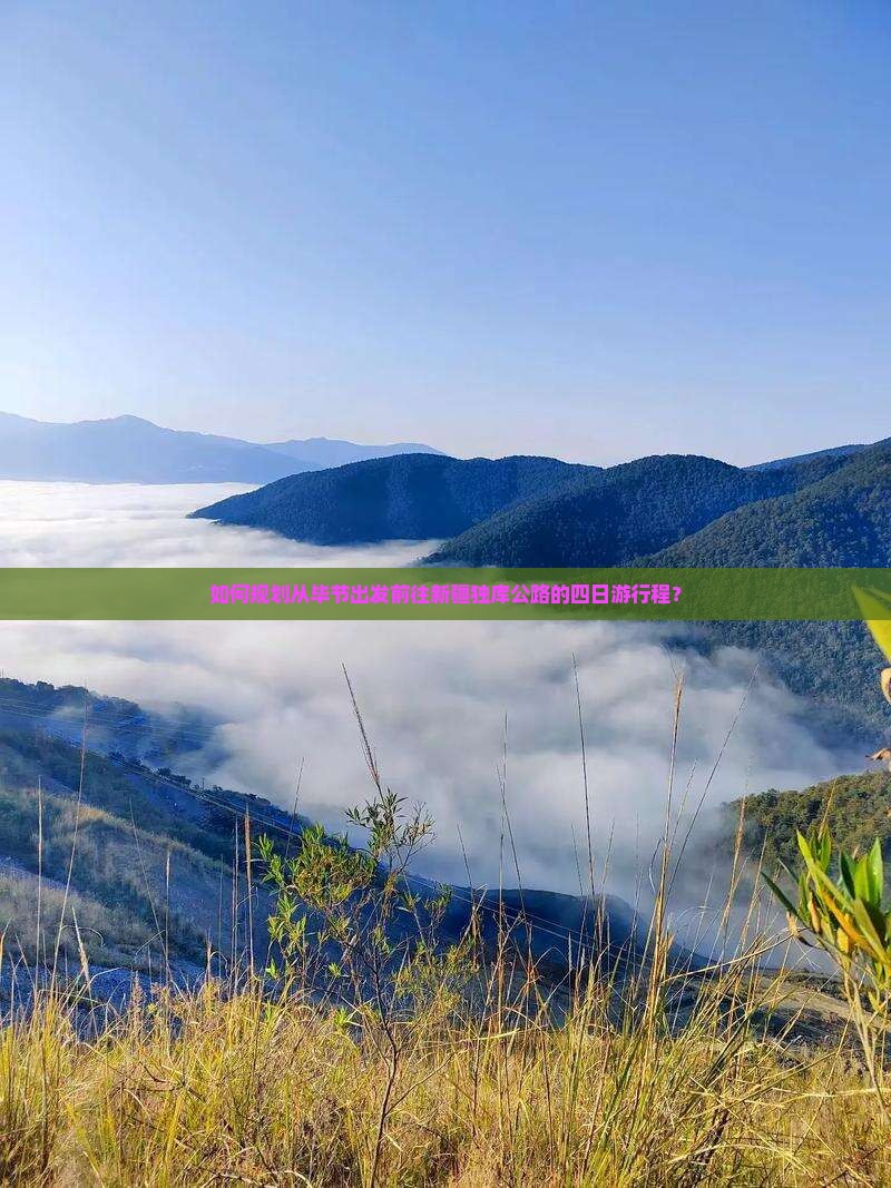 如何规划从毕节出发前往新疆独库公路的四日游行程? 如何规划从毕节出发前往新疆独库公路的四日游行程?
