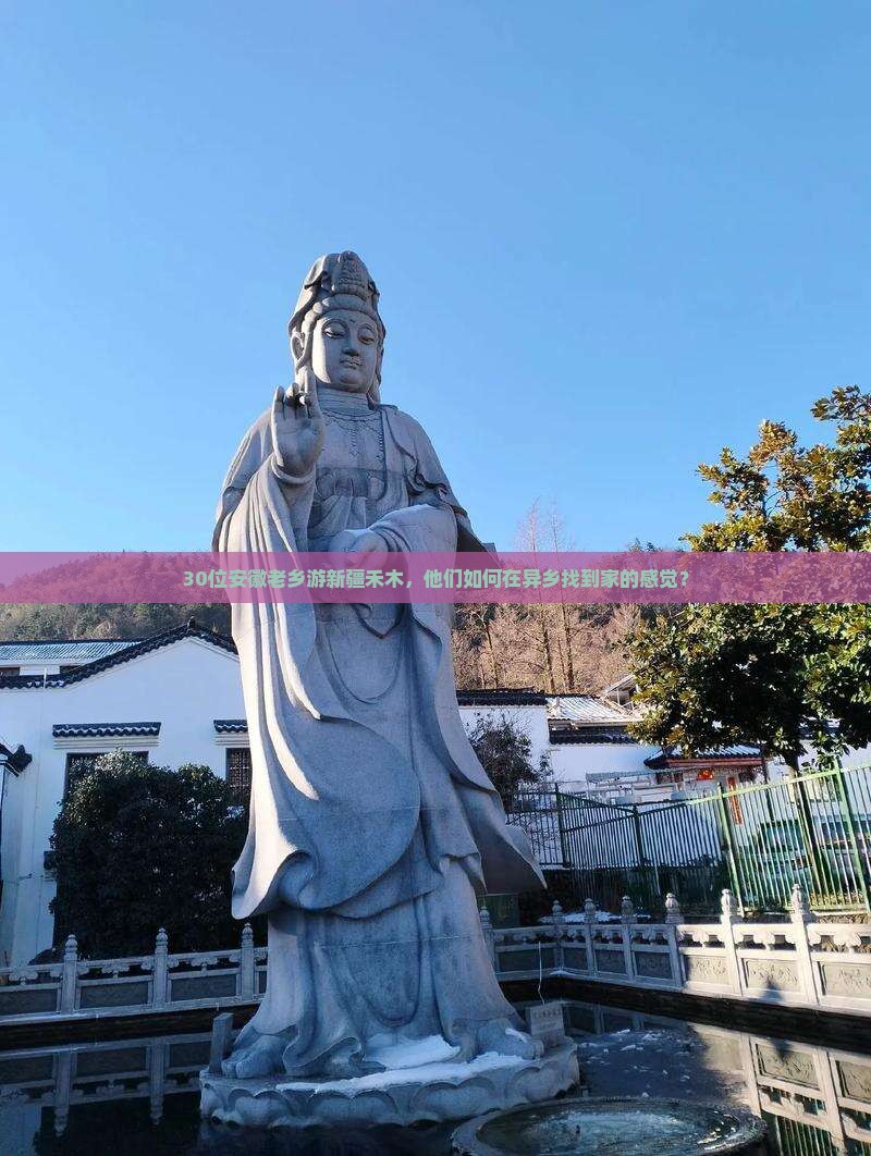 30位安徽老乡游新疆禾木，他们如何在异乡找到家的感觉？