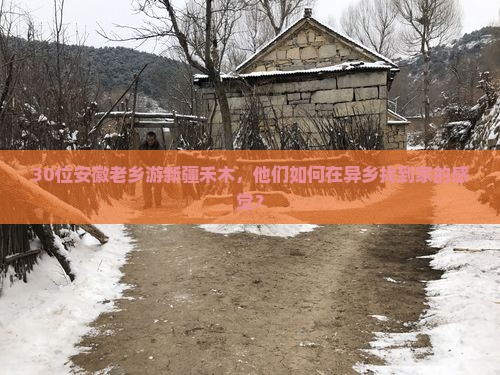 30位安徽老乡游新疆禾木，他们如何在异乡找到家的感觉？