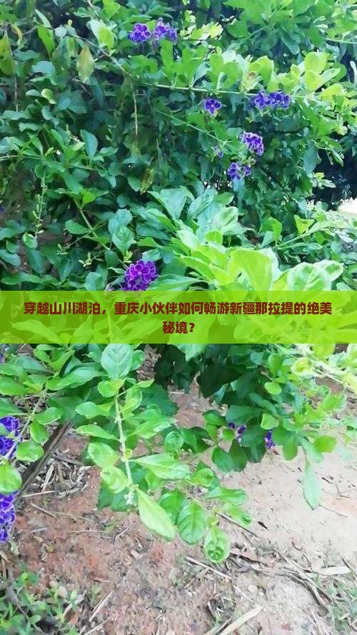 穿越山川湖泊，重庆小伙伴如何畅游新疆那拉提的绝美秘境？
