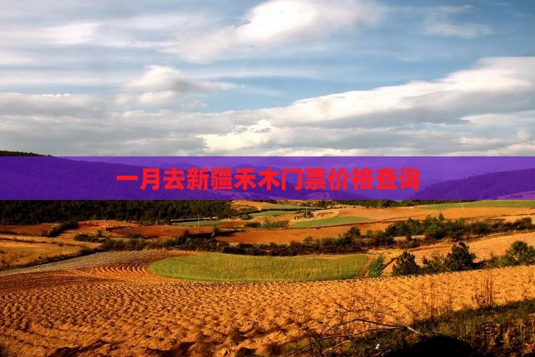 一月去新疆禾木门票价格查询