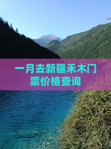 一月去新疆禾木门票价格查询