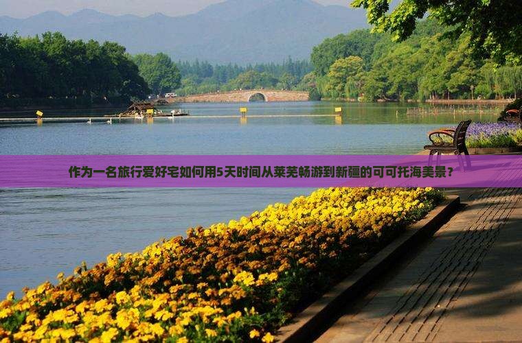 作为一名旅行爱好宅如何用5天时间从莱芜畅游到新疆的可可托海美景？