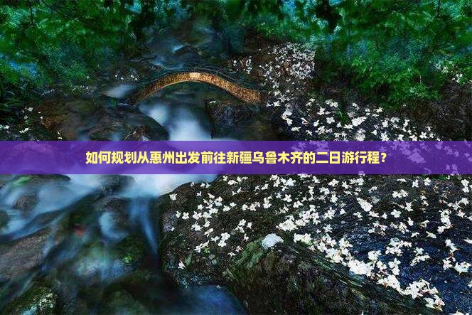 如何规划从惠州出发前往新疆乌鲁木齐的二日游行程？