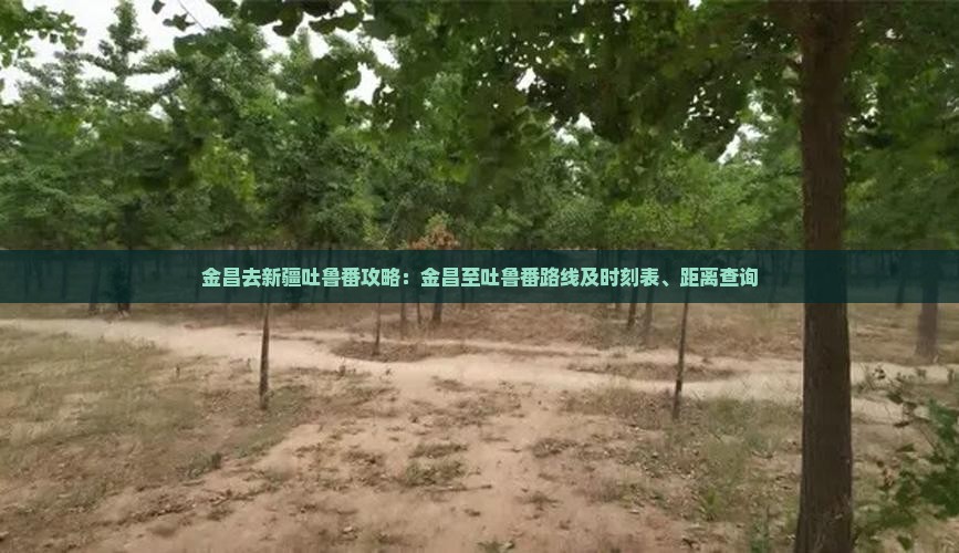 金昌去新疆吐鲁番攻略：金昌至吐鲁番路线及时刻表、距离查询