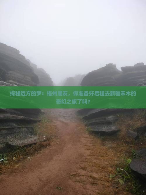 探秘远方的梦：梧州朋友，你准备好启程去新疆禾木的奇幻之旅了吗？