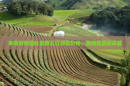 孝感到新疆吐鲁番五日游票价格、路线及距离详解