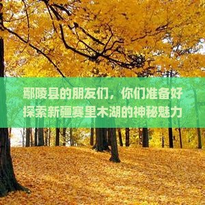 鄢陵县的朋友们，你们准备好探索新疆赛里木湖的神秘魅力了吗？