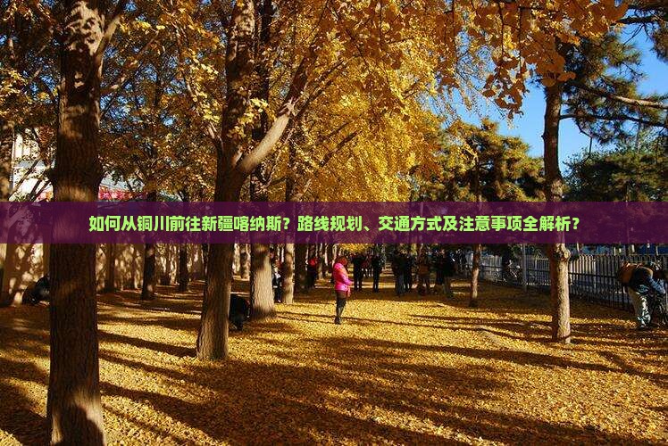 如何从铜川前往新疆喀纳斯？路线规划、交通方式及注意事项全解析？