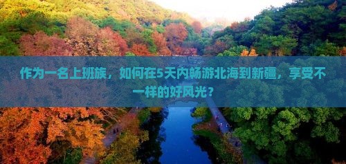 作为一名上班族，如何在5天内畅游北海到新疆，享受不一样的好风光？