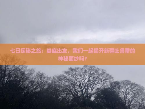 七日探秘之旅：娄底出发，我们一起揭开新疆吐鲁番的神秘面纱吗？