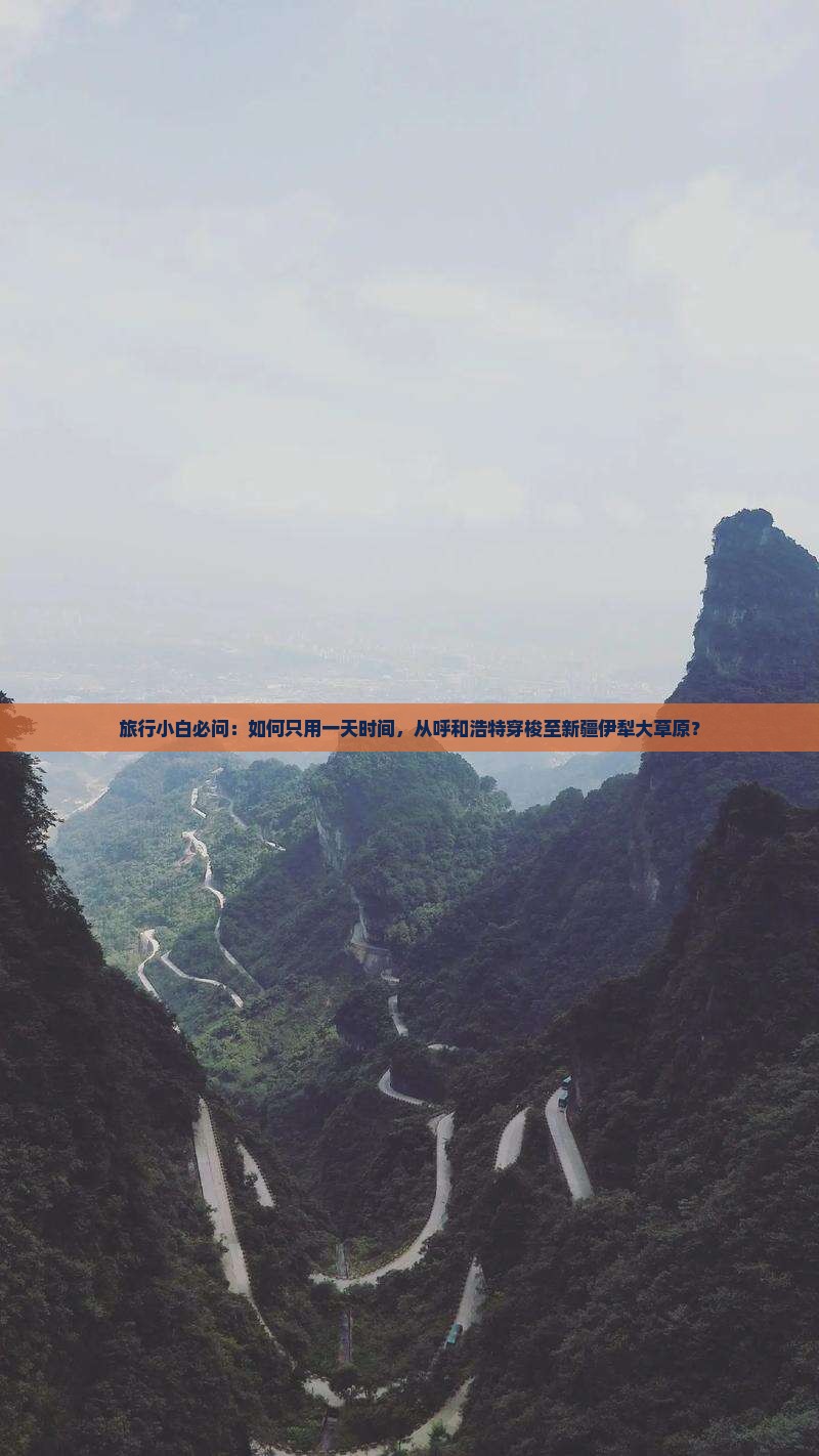 旅行小白必问：如何只用一天时间，从呼和浩特穿梭至新疆伊犁大草原？
