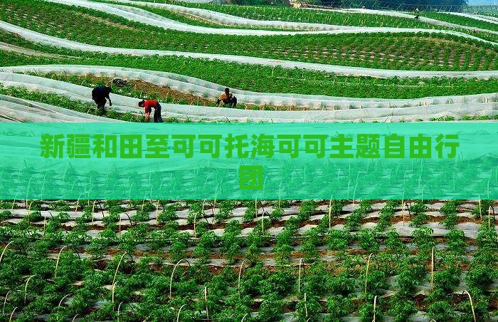 新疆和田至可可托海可可主题自由行团
