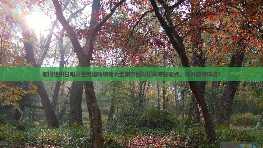 如何组织日喀则至新疆喀纳斯大型旅游团以缓解游客痛点，提升旅游体验？