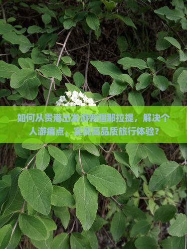 如何从贵港出发游新疆那拉提，解决个人游痛点，实现高品质旅行体验？