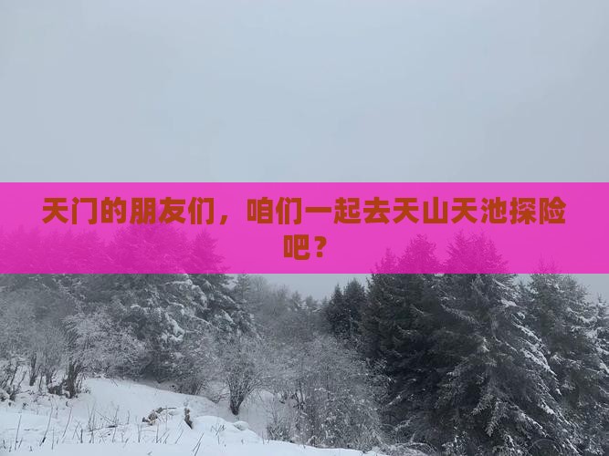 天门的朋友们,咱们一起去天山天池探险吧? 天门的朋友们,咱们一起去天山天池探险吧?