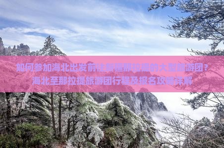 如何参加海北出发前往新疆那拉提的大型旅游团？海北至那拉提旅游团行程及报名攻略详解