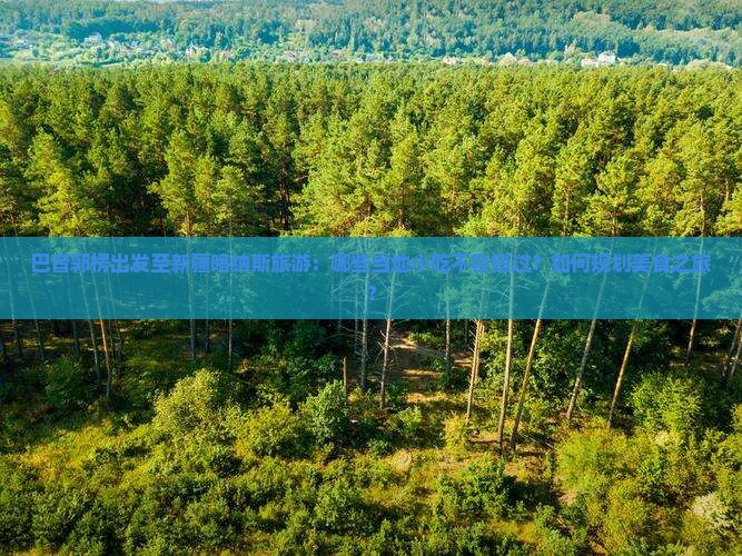 巴音郭楞出发至新疆喀纳斯旅游：哪些当地小吃不容错过？如何规划美食之旅？