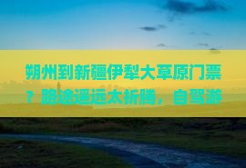 朔州到新疆伊犁大草原门票？路途遥远太折腾，自驾游爱好者快看！