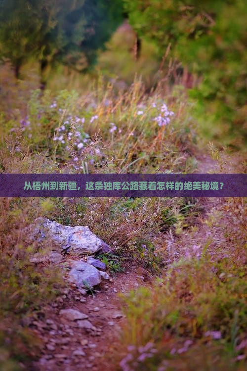 从梧州到新疆，这条独库公路藏着怎样的绝美秘境？