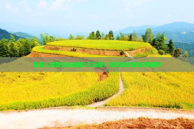 普通人带爸妈去新疆7天玩啥？克孜勒苏路线求推荐！