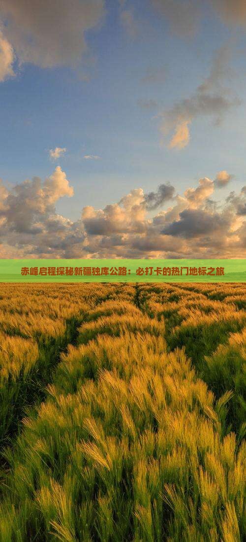 赤峰启程探秘新疆独库公路：必打卡的热门地标之旅