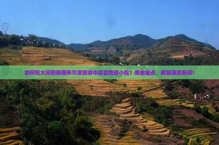 如何在大同到新疆布尔津旅游中品尝地道小吃？美食痛点，解锁潮流新词！