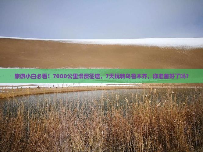 旅游小白必看！7000公里漫漫征途，7天玩转乌鲁木齐，你准备好了吗？