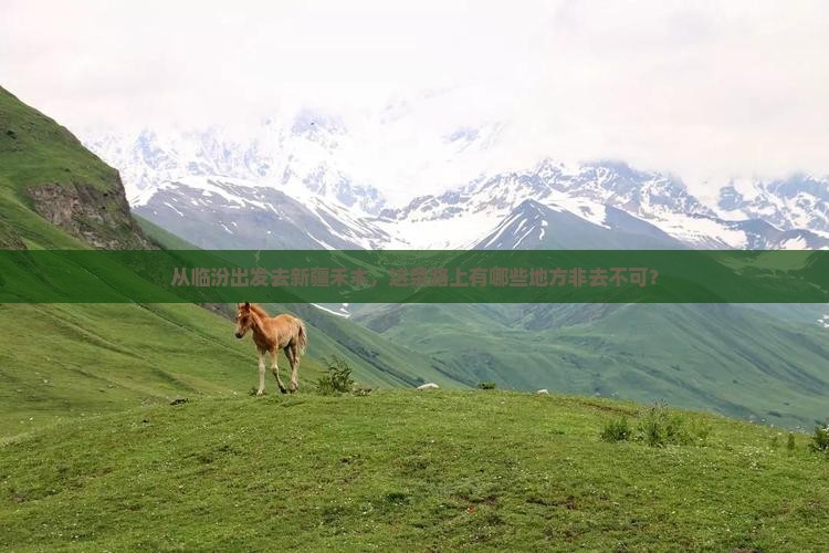 从临汾出发去新疆禾木，这条路上有哪些地方非去不可？