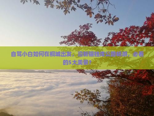 自驾小白如何在桐城出发，沿新疆独库公路畅游，必看的5大美景？